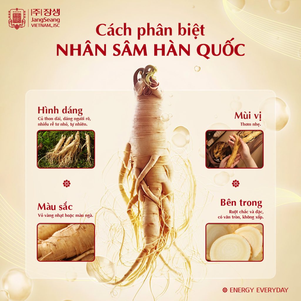 Cấp độ sâm Hàn Quốc