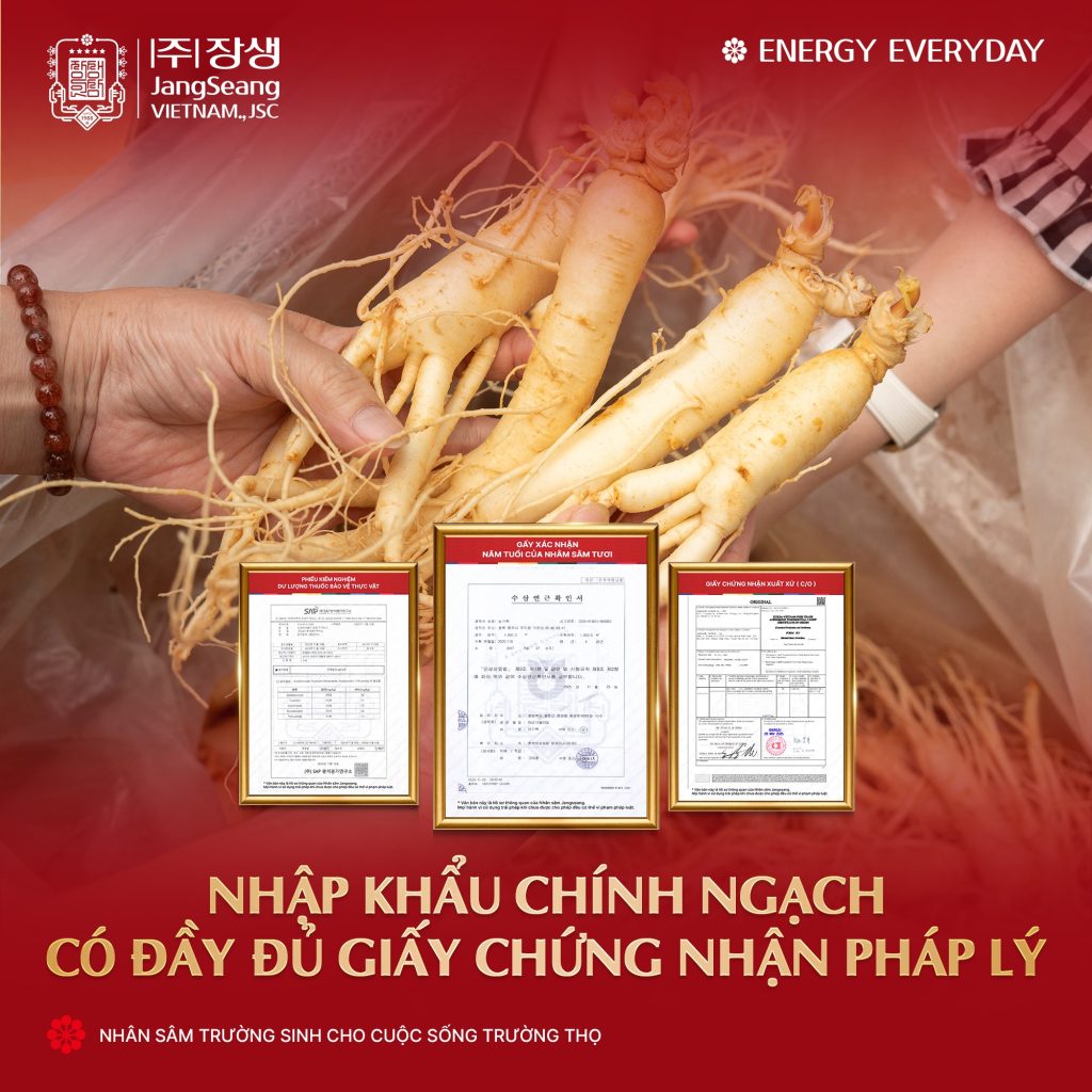 Giá sâm Hàn Quốc
