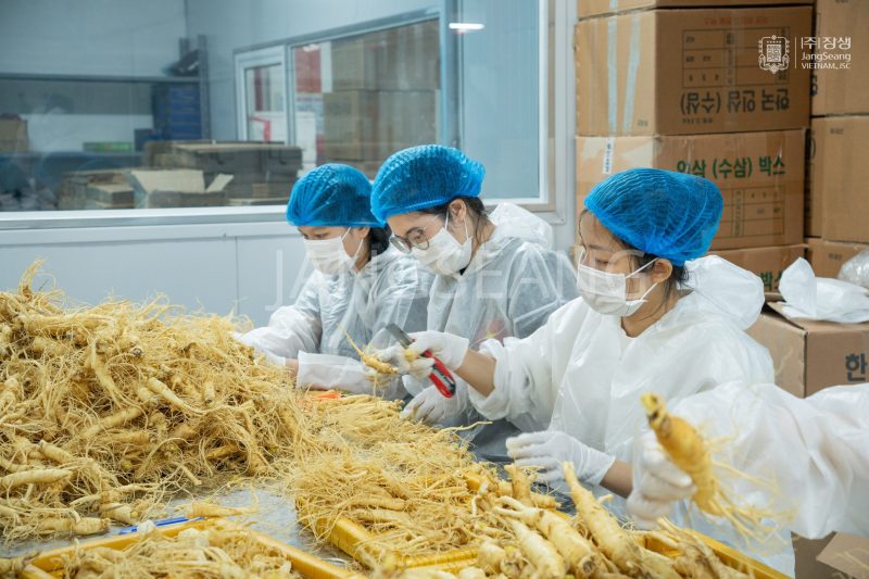 Mua sâm tươi Hàn Quốc