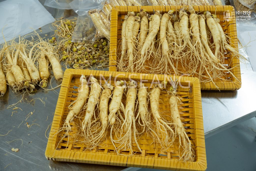 Mua sâm tươi Hàn Quốc