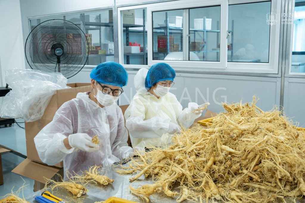 Mua sâm Hàn Quốc ở đâu