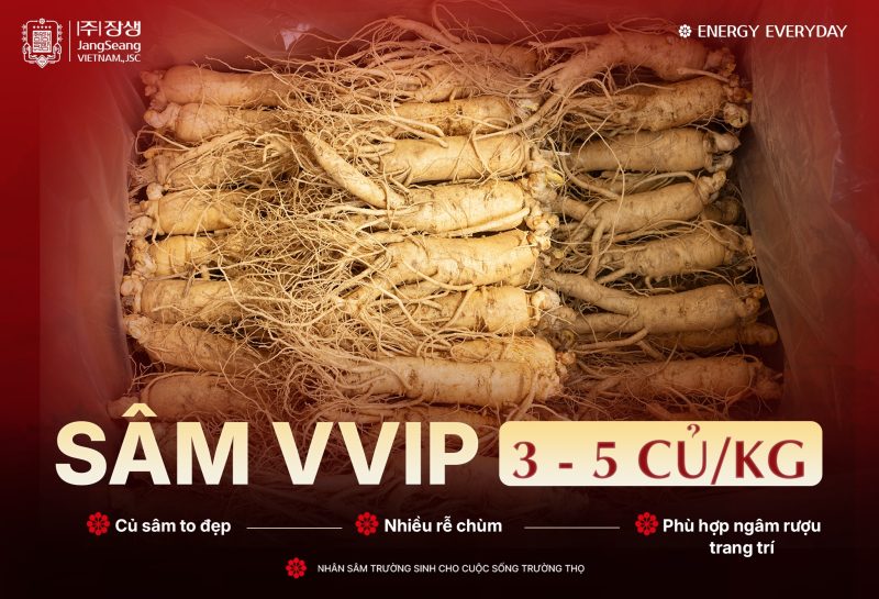 Phân loại sâm Hàn Quốc