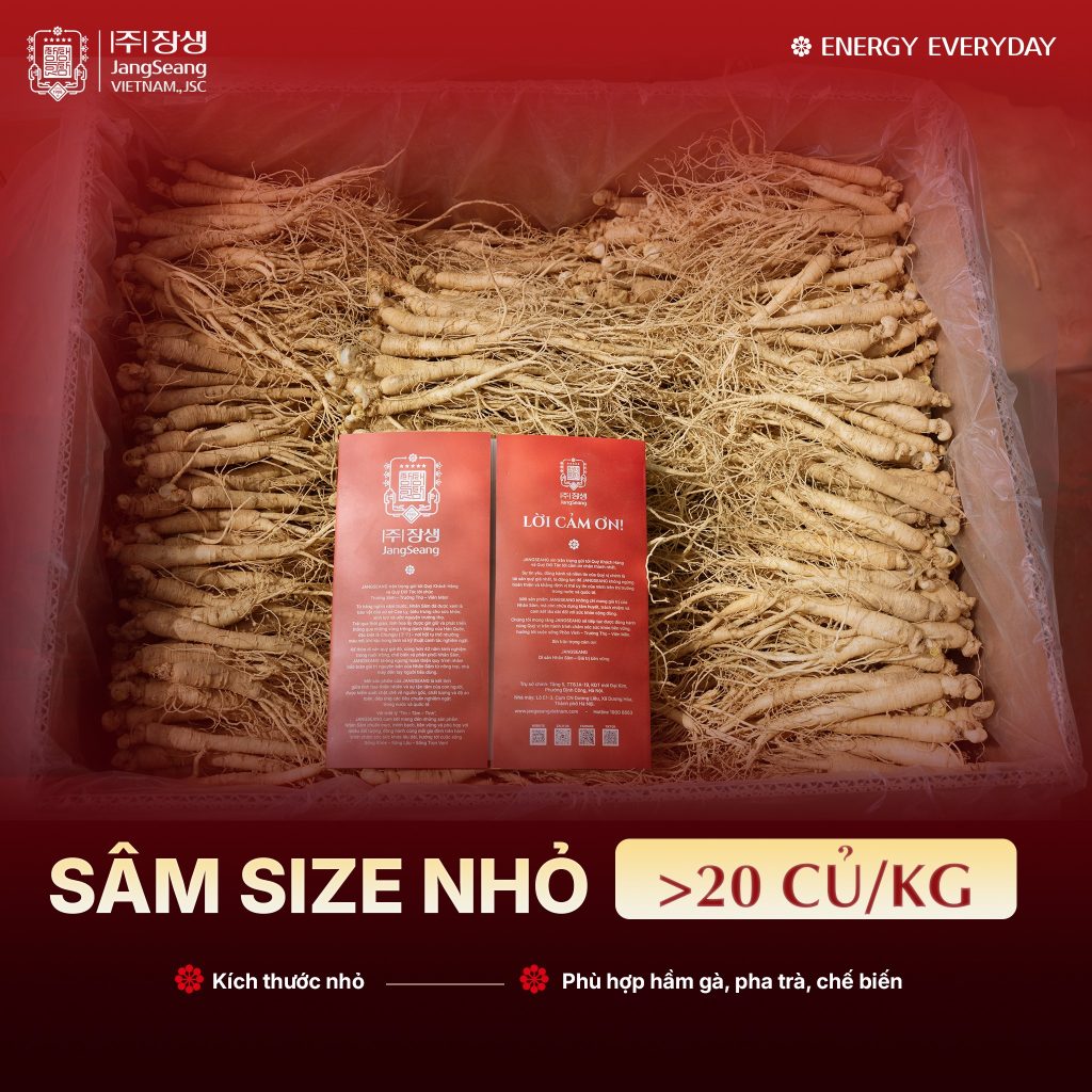 Phân loại sâm Hàn Quốc