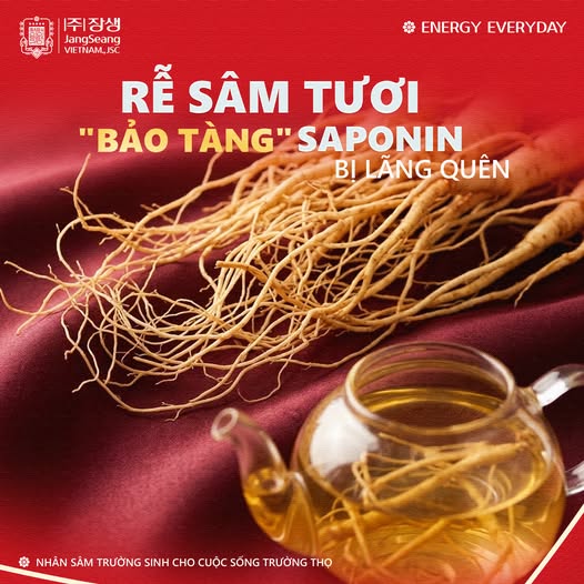 Review sâm tươi
