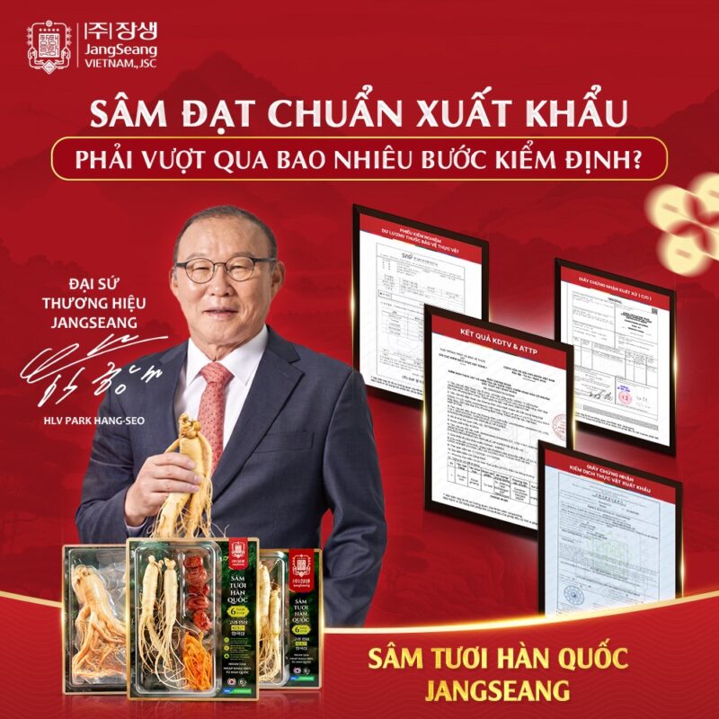 Review sâm tươi