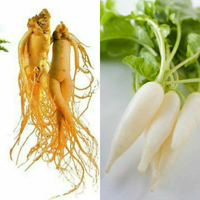 Sai lầm khi dùng sâm