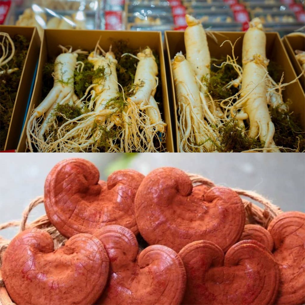 Sâm Hàn Quốc và dược liệu khác