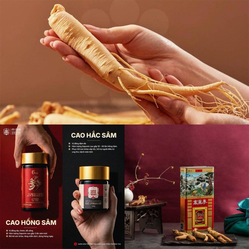 Sâm nguyên củ và sâm tinh chế
