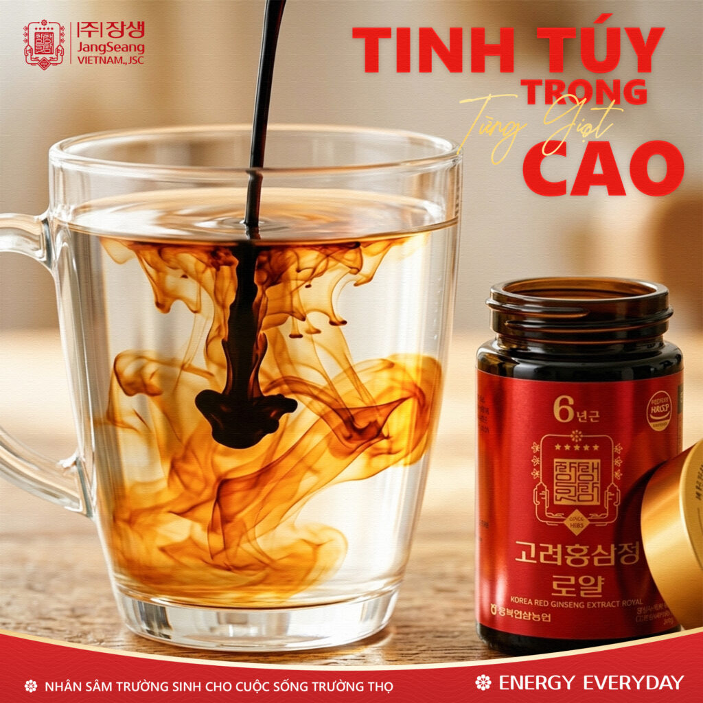 Sâm cho người hiện đại