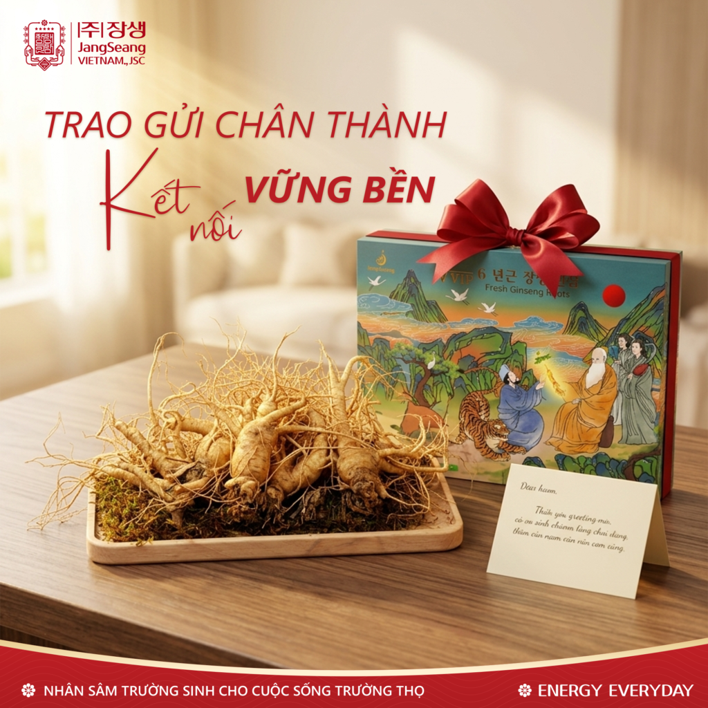 sâm Hàn Quốc là gì