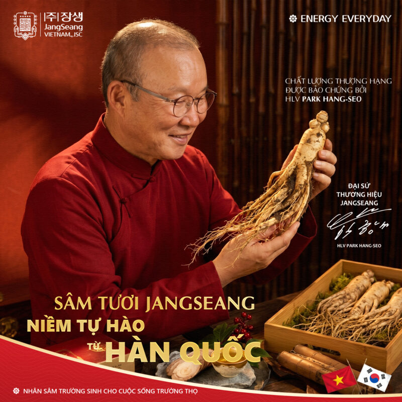 Sâm dùng ngắn hạn và dài hạn