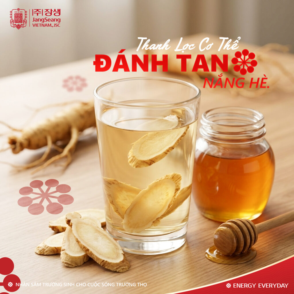 Sâm dùng ngắn hạn và dài hạn