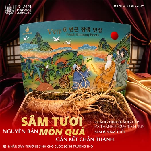 Tư vấn chọn sâm
