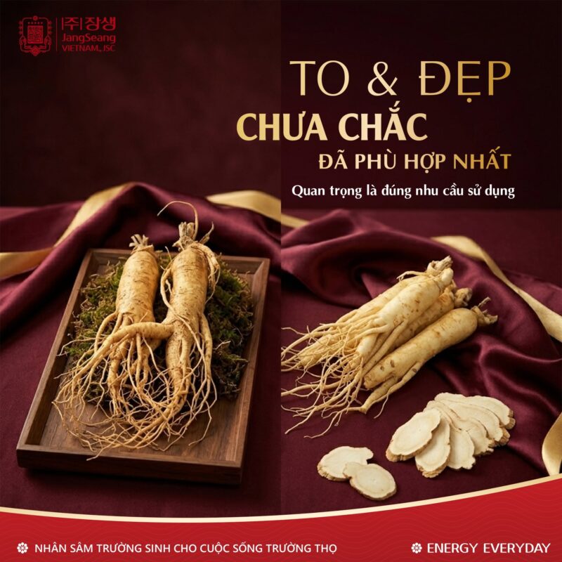 cách chọn sâm Hàn Quốc