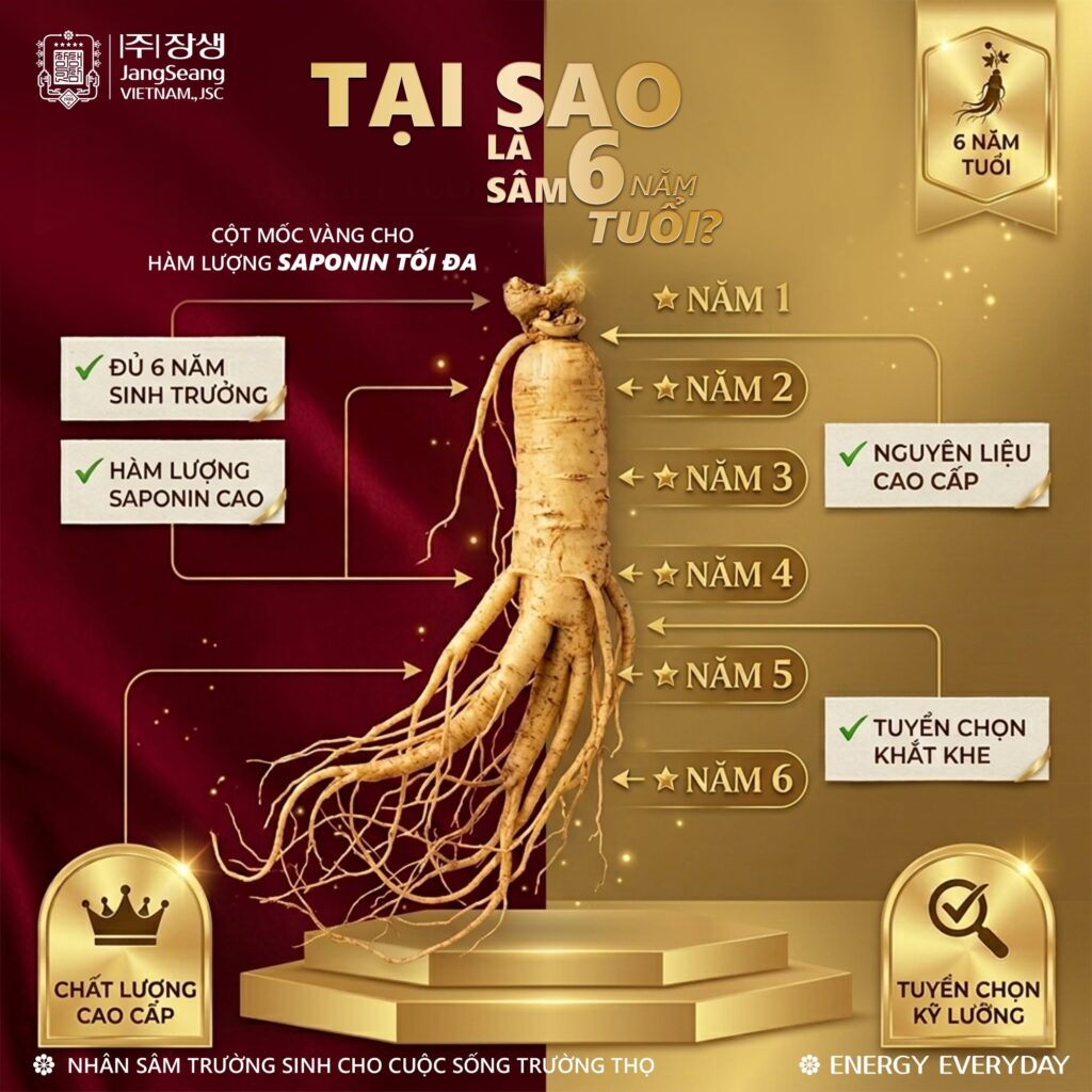 nên dùng sâm Hàn Quốc không