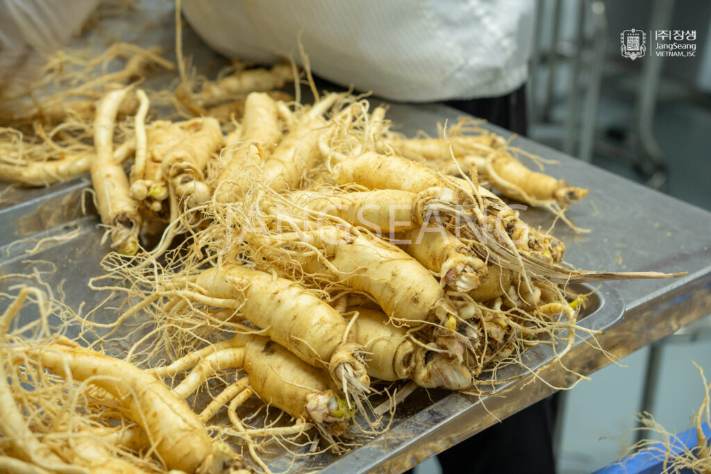 nguồn gốc sâm Hàn Quốc
