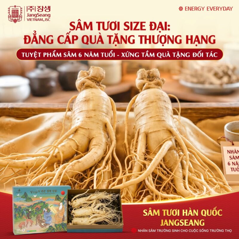 sâm chính ngạch Hàn Quốc