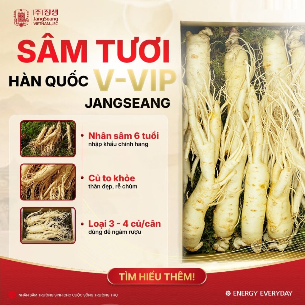 sâm chính ngạch Hàn Quốc