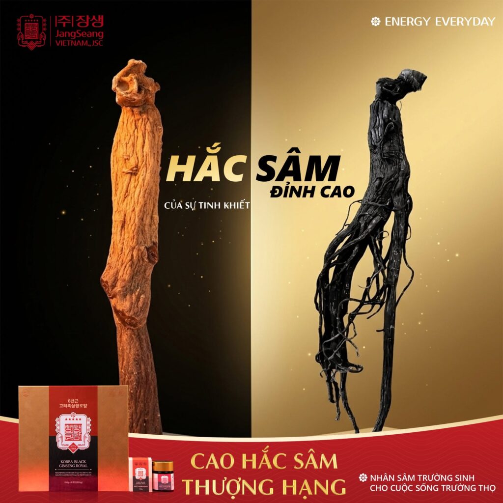 sâm Hàn Quốc cho người lớn tuổi