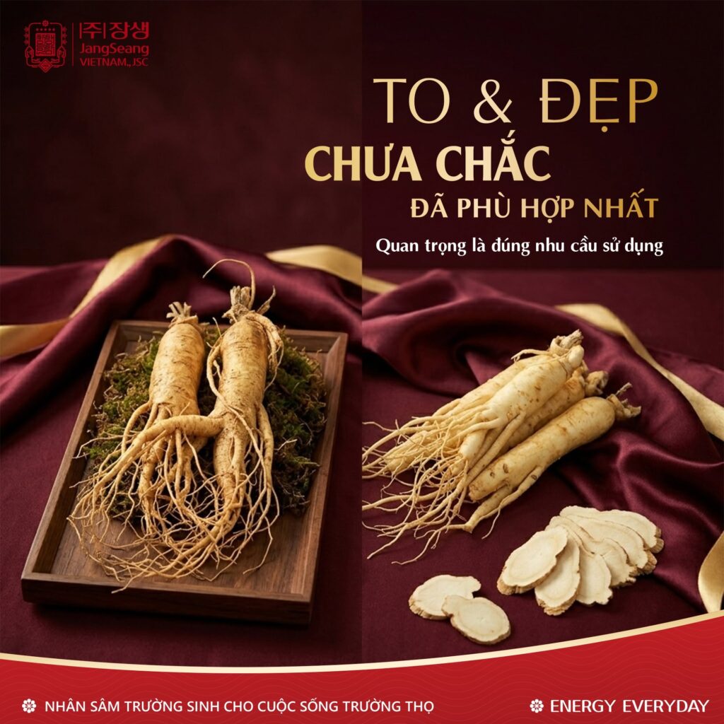 sâm tươi Hàn Quốc