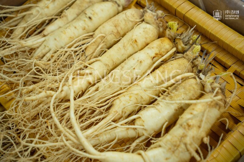 sâm tươi Hàn Quốc
