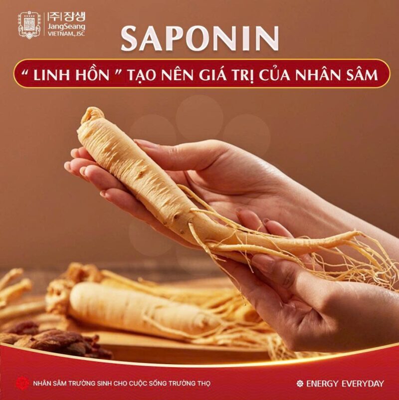 thành phần sâm Hàn Quốc