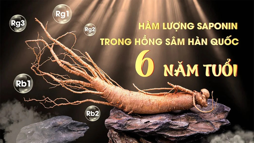 thành phần sâm Hàn Quốc