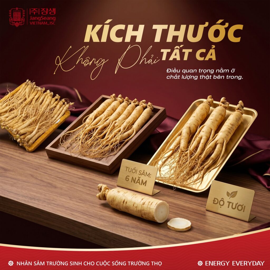 thành phần sâm Hàn Quốc