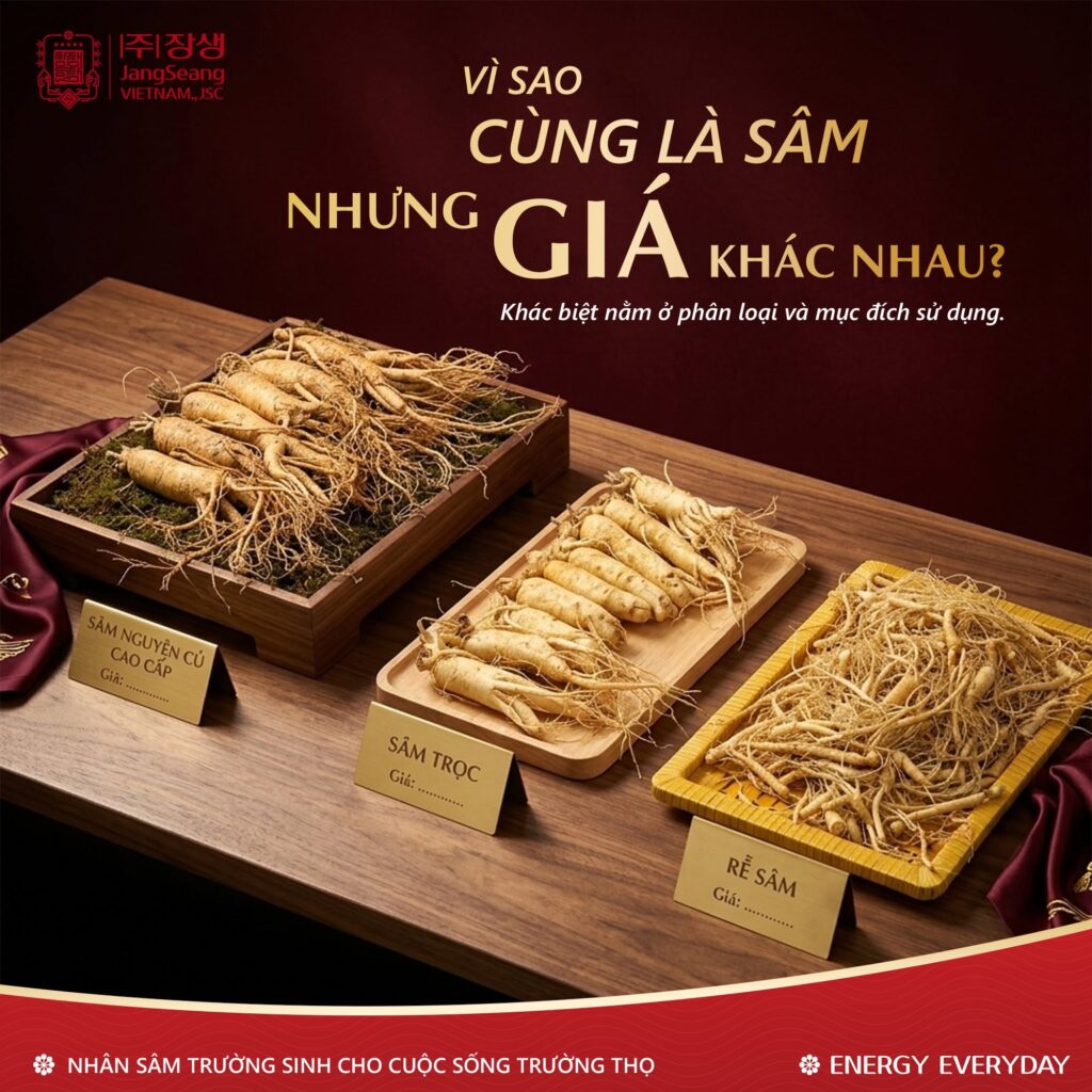 thành phần sâm Hàn Quốc