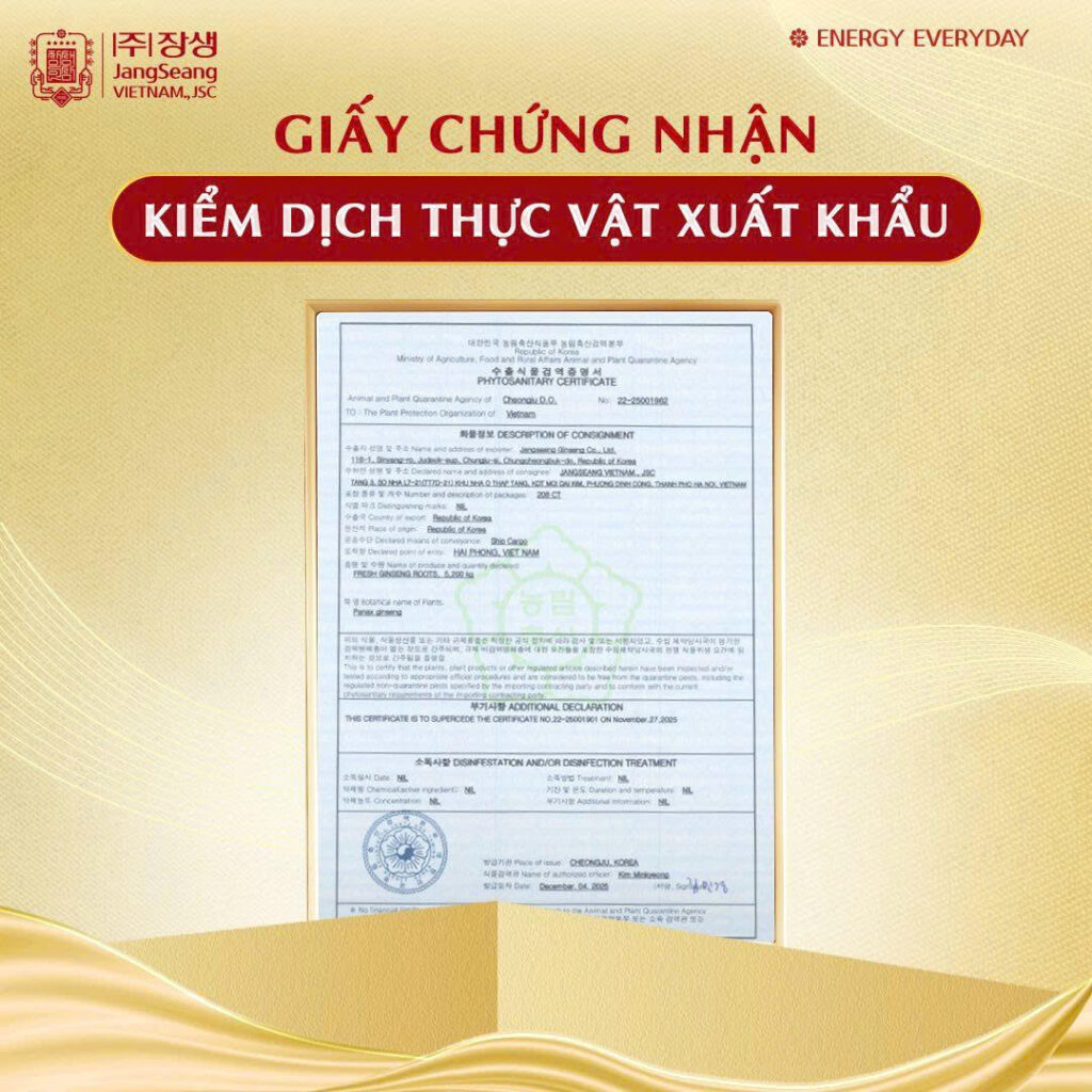 tiêu chuẩn sâm Hàn Quốc