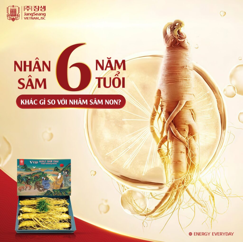 cách chọn sâm Hàn Quốc 6 năm tuổi