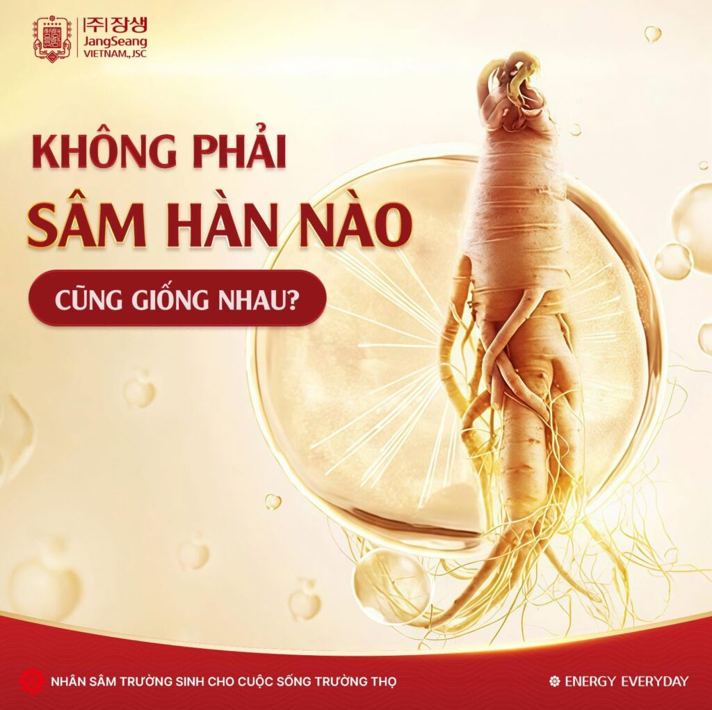 cách chọn sâm Hàn Quốc 6 năm tuổi