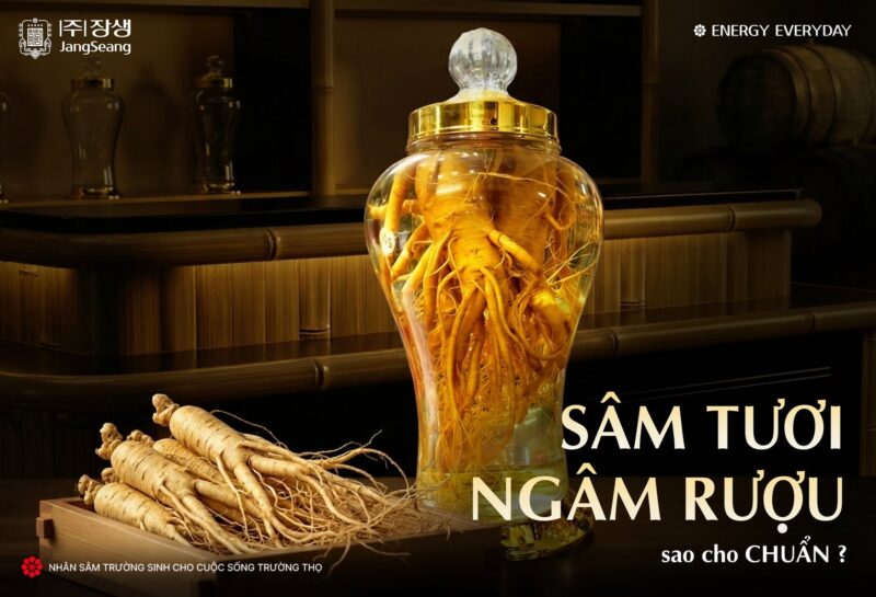 cách ngâm rượu nhân sâm tươi