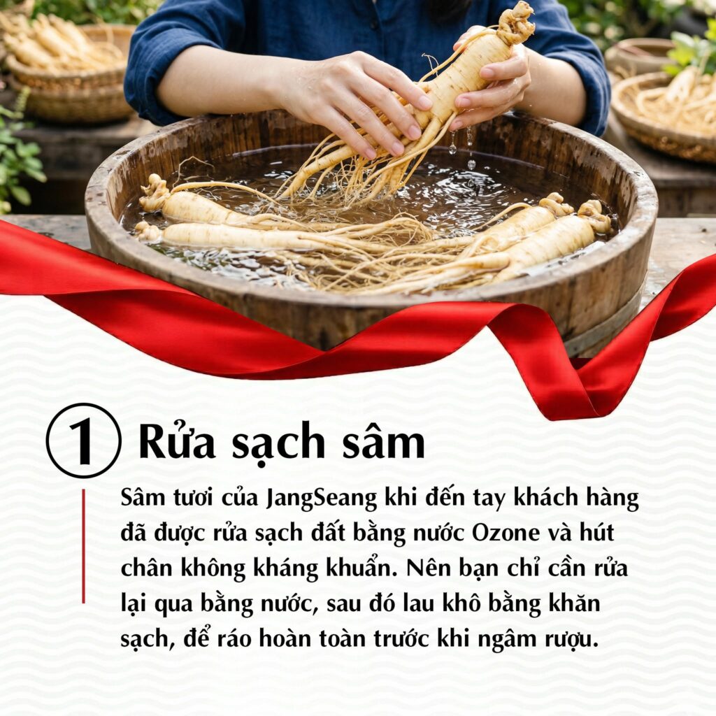 cách ngâm rượu nhân sâm tươi