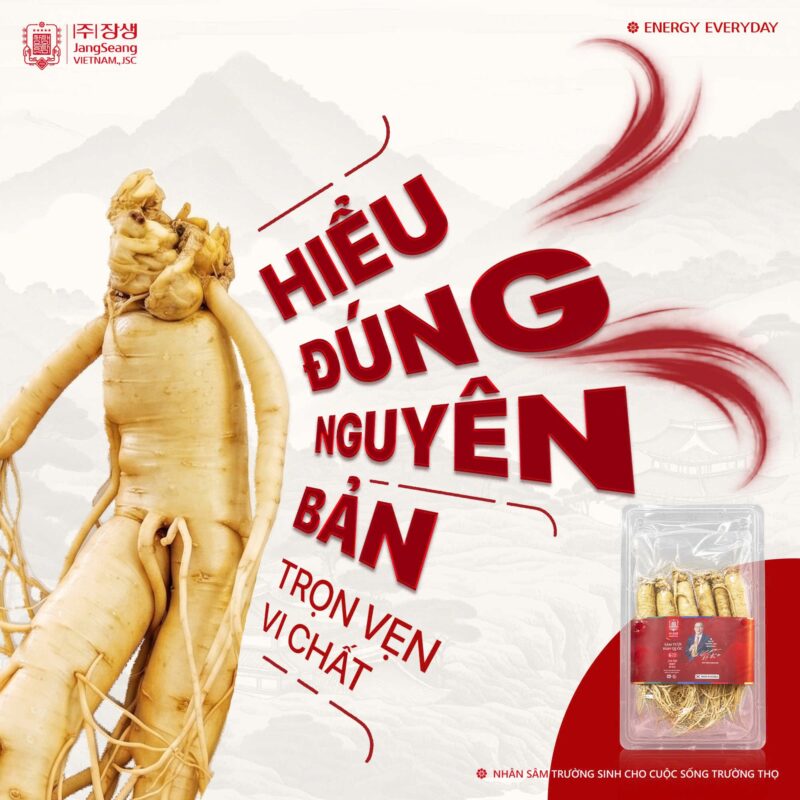 cao huyết áp có uống được sâm không