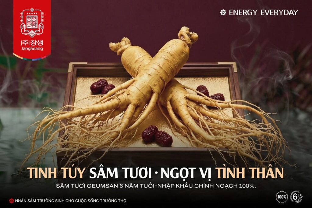giá nhân sâm tươi 6 năm tuổi