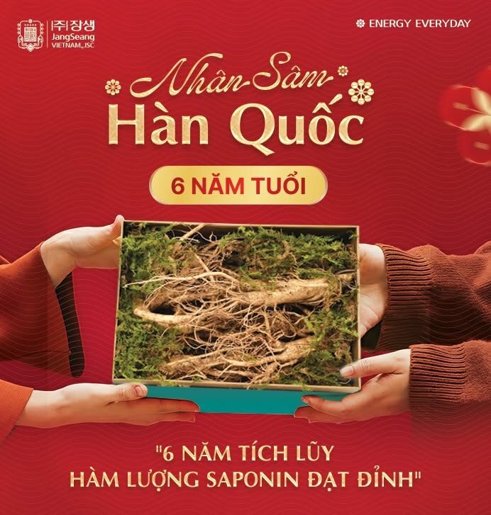 nên dùng sâm tươi hay hồng sâm