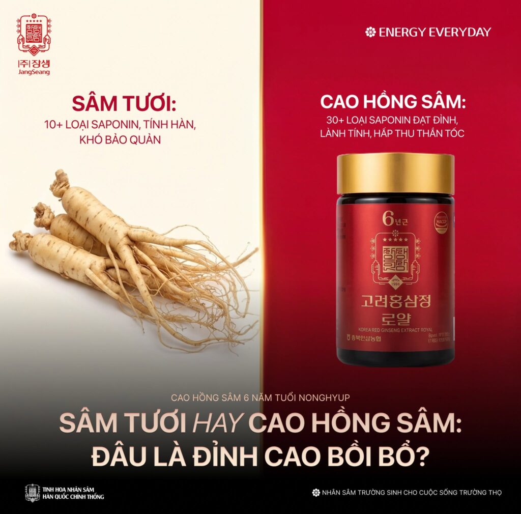nên dùng sâm tươi hay hồng sâm