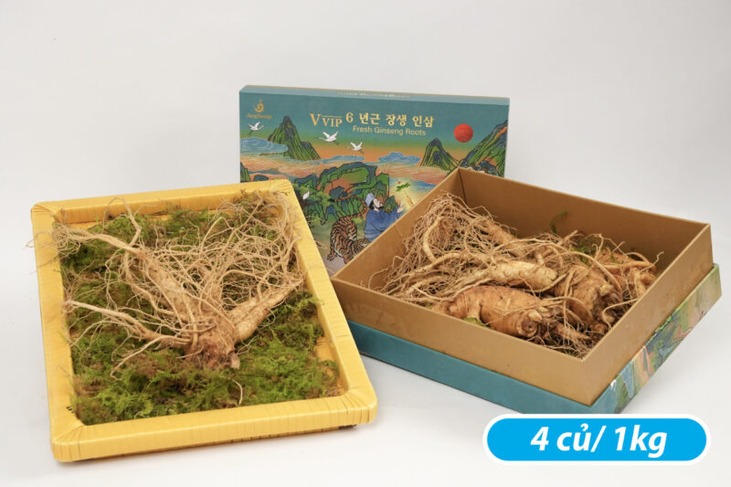 Sâm tươi Hàn Quốc loại 4 củ 1kg
