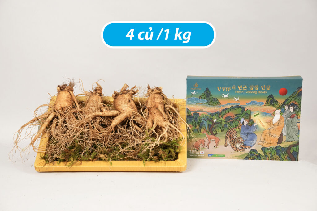 Sâm tươi Hàn Quốc loại 4 củ 1kg