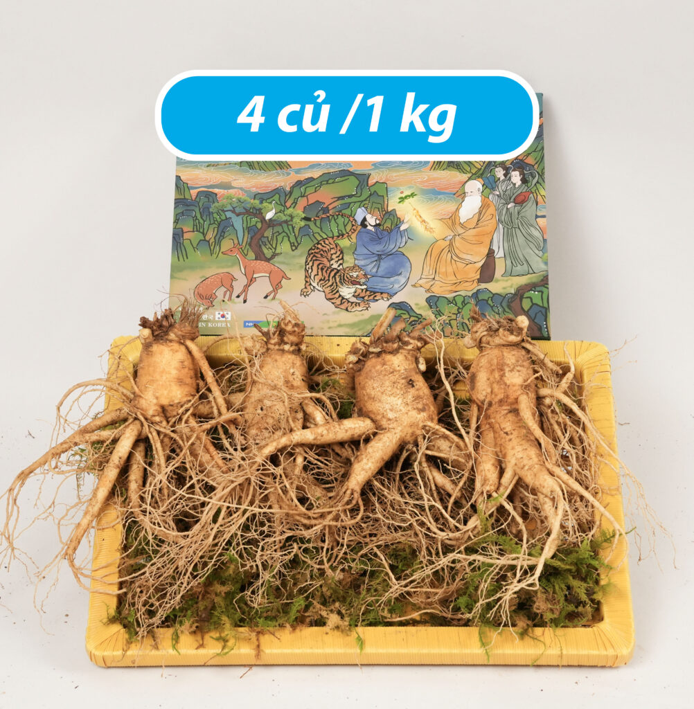 Sâm tươi Hàn Quốc loại 4 củ 1kg