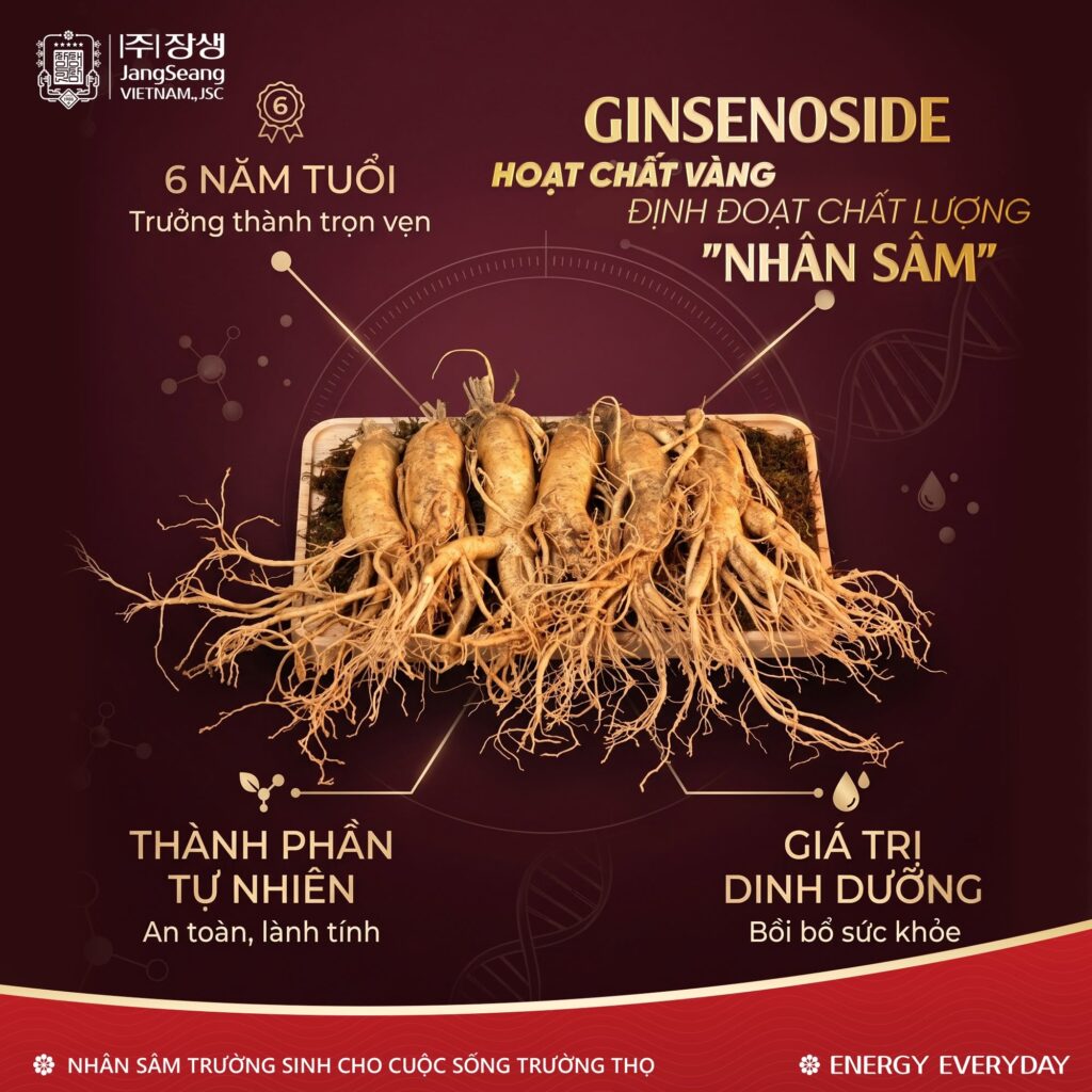 Sâm tươi Hàn Quốc mùa Vu Lan