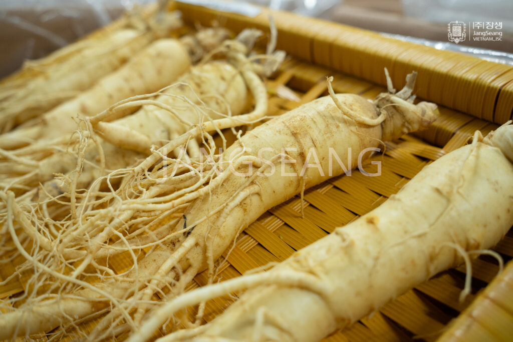 Nhân sâm Hàn Quốc giá bao nhiêu