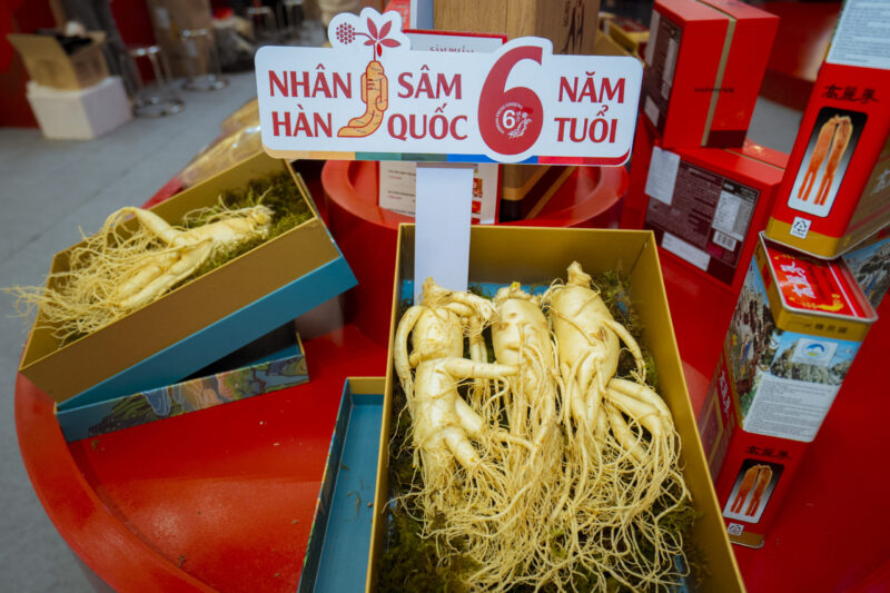 Sâm tươi có ăn sống được không