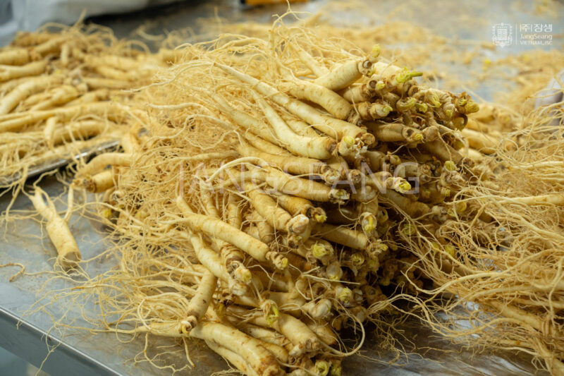 Sâm tươi Hàn Quốc nhập khẩu